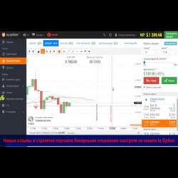 Стратегия торговли на бинарных опционах с индикатором аллигатор