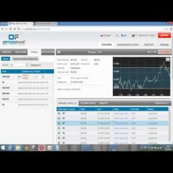 Бинарные опционы практическое руководство